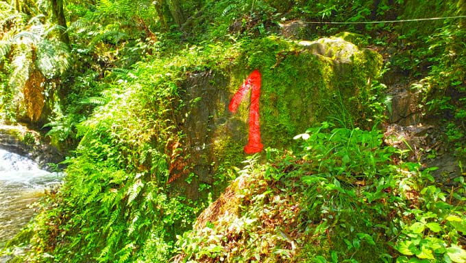 estrada de apoio sitio sete quedas